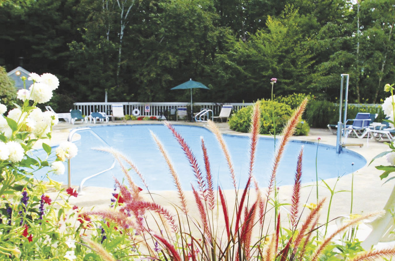 2-16-2020 Property of the Week-Pool
